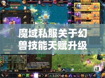 魔域私服关于幻兽技能天赋升级方法