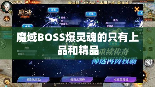 魔域BOSS爆灵魂的只有上品和精品