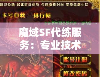 魔域SF代练服务：专业技术团队，高效完善的服务体验！