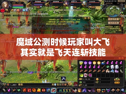 魔域公测时候玩家叫大飞其实就是飞天连斩技能