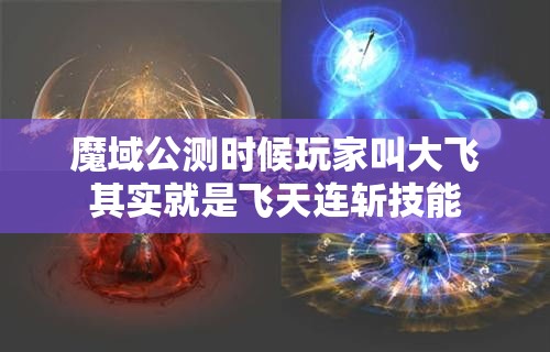 魔域公测时候玩家叫大飞其实就是飞天连斩技能